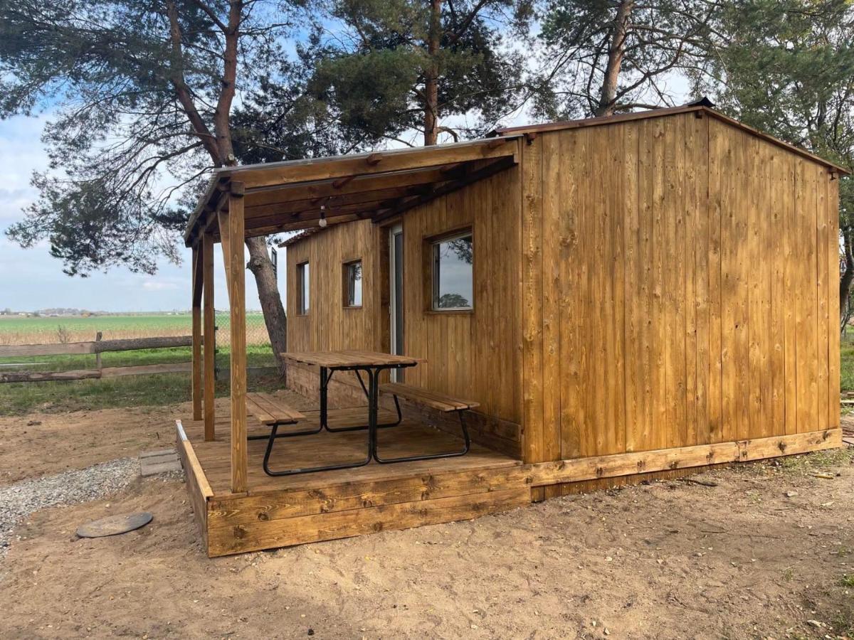 Pronajem Dreveneho Mobilheimu Stit Lejlighed Chlumec nad Cidlinou Eksteriør billede
